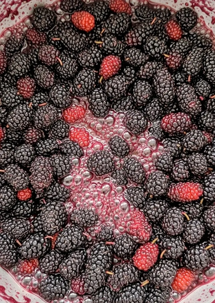 Mulberries cooking down in a pot for jam