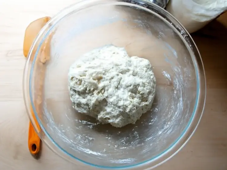 Ciabatta dough after mixing, ready for the first rise